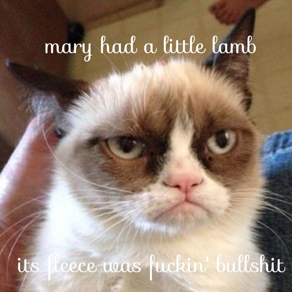 Mary Had A Little Lamb