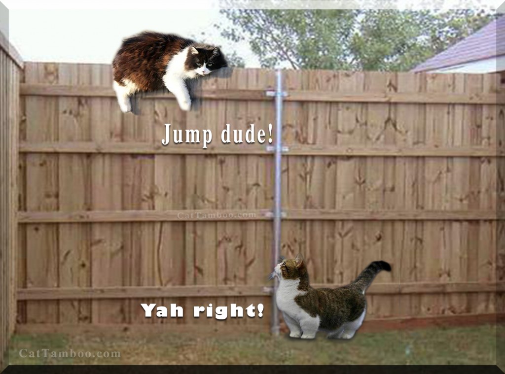Jump dude