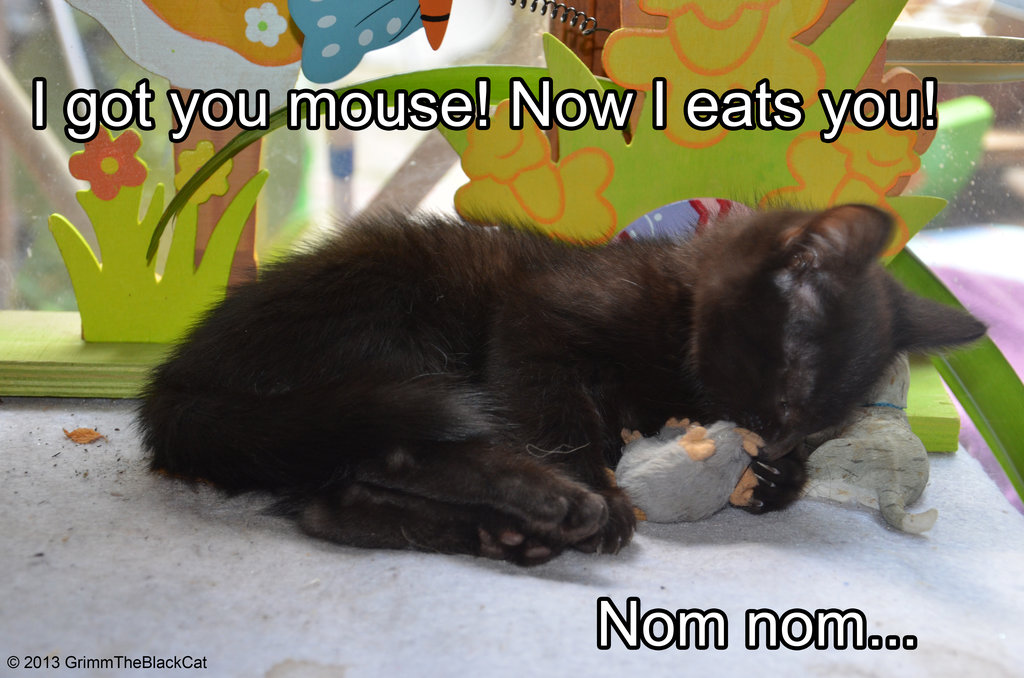 I got you mouse
